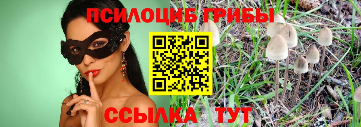 Cocaine  АМФ   МЕФ кристаллы  Вход с VPN  Марихуана  ГАШ  Полевской  NBOMe  МАРИХУАНА  Экстази 