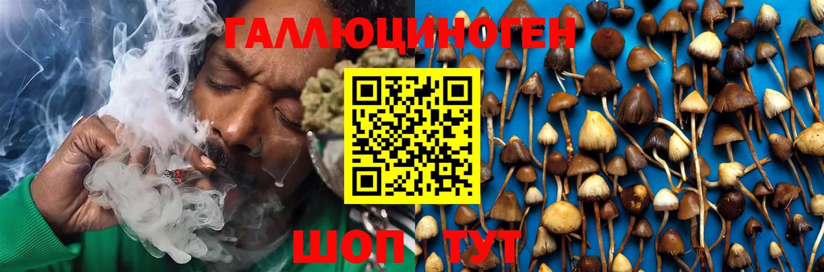 Галлюциногенные грибы Magic Shrooms  Вход с VPN  Полевской 